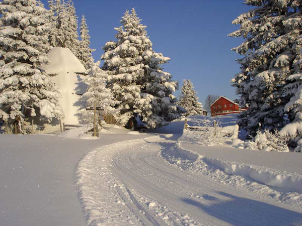 Kamben cross country skiing in Norway