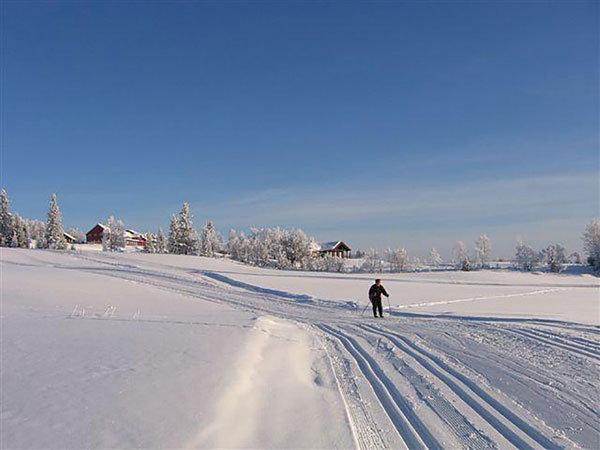 Kamben cross country skiing in Norway