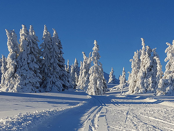 Kamben cross country skiing in Norway