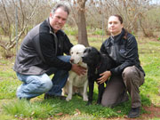 Truffle hunting dogs at The Wine & Truffle Co, Western Australia. Photo by Richard Madden