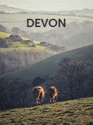 devon
