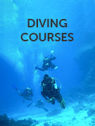 Diving courses vacations Diving courses vacations
