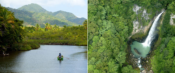 Indian River and Victoria Falls in Dominica