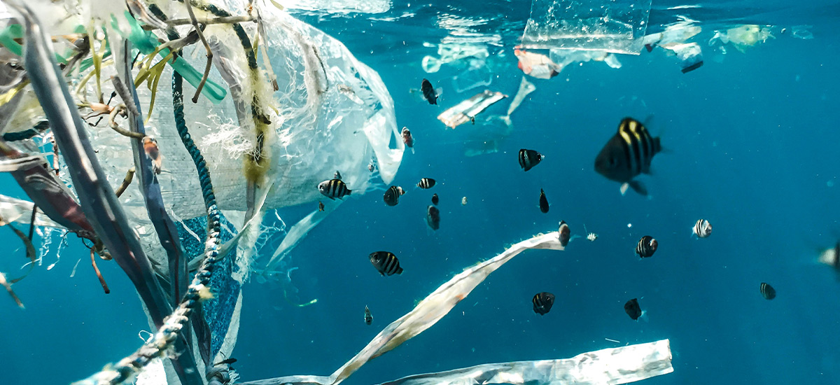 Plastic pollution in the ocean