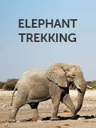 Elephant conservation guide