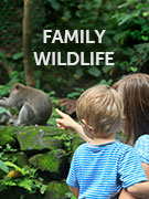 Family wildlife guide