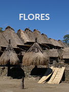 Flores vacations