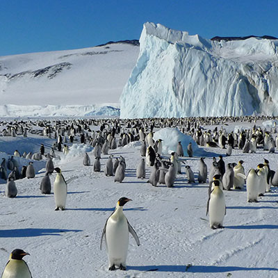 Antarctica