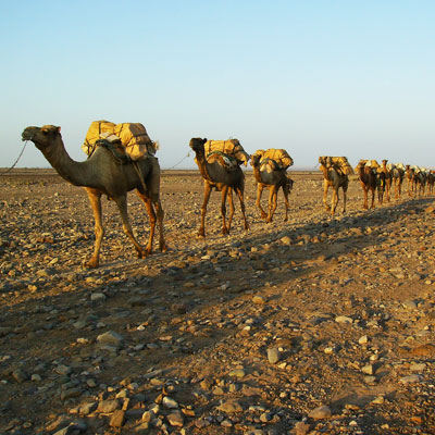 Ethiopian desert