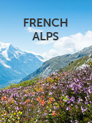 French Alps vacations