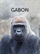 Gabon vacations Gabon vacations