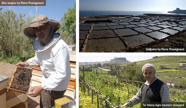 Bee keeper, saltpans and vineyard, Gozo. Photos by Rene Rossignaud and Nick Haslam