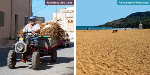 Rural life and Ramla Bay, Gozo.