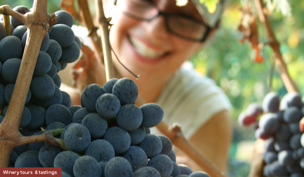 Winery tours and tasting