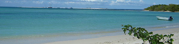 Grenada banner
