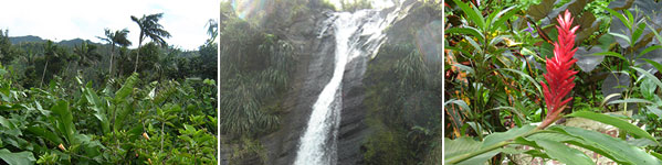 Grenada banner