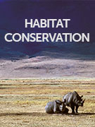 Habitat conservation vacations Habitat conservation vacations