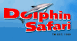 Dolphin Safari