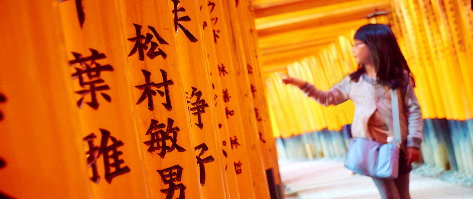 Torii at Fujimi Inari Taisha shrine