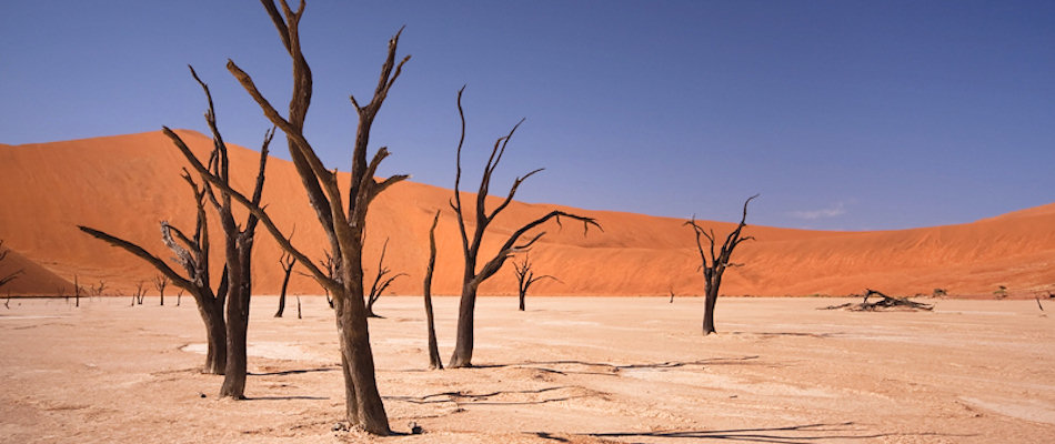 Deadvlei
