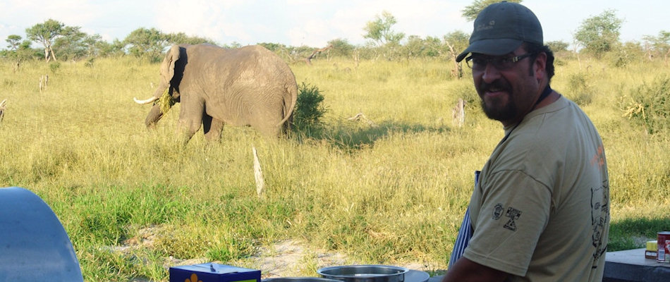 Elephant leaving camp