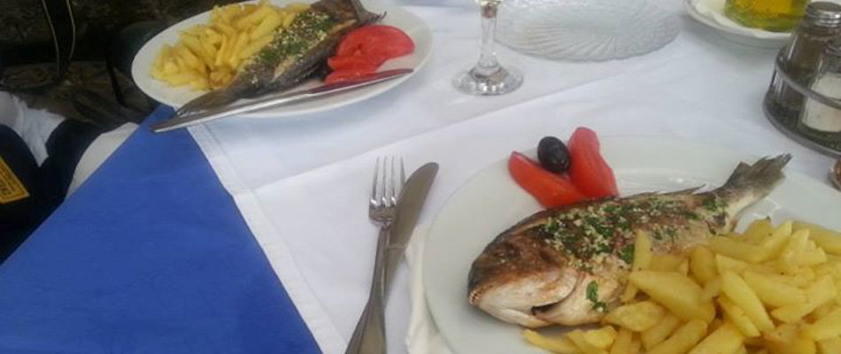 fish on lopud
