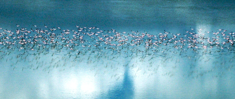 Nata Mkgadikgadi Saltpans