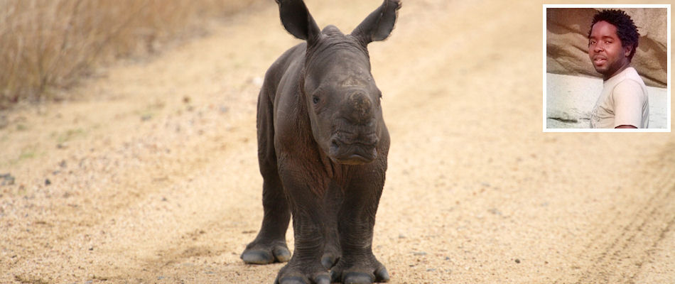 Rhino baby and (inset) Wayne Mwango