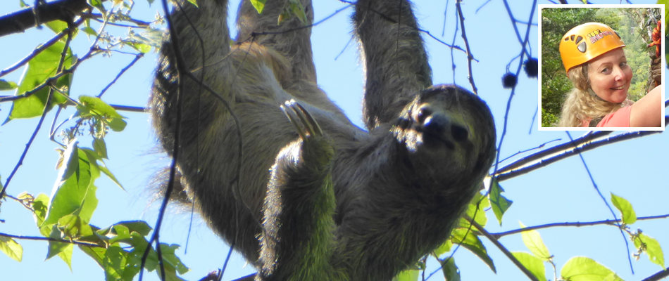 Sloth and (inset) Kimberley Brown