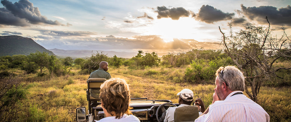African bush