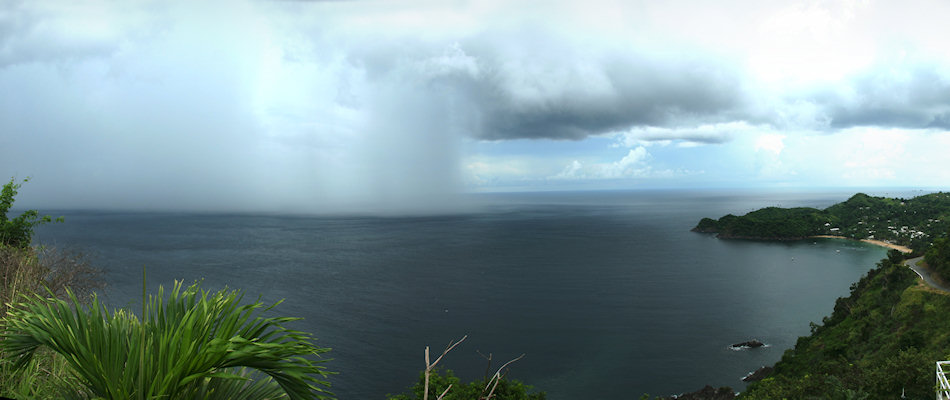 Rain