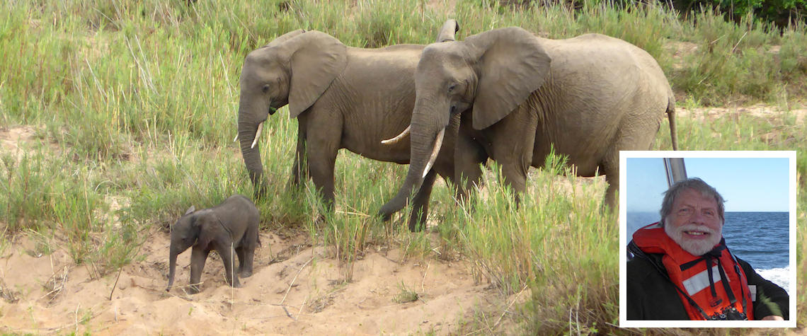 Elephants in Kruger and (inset) Alan Thomas