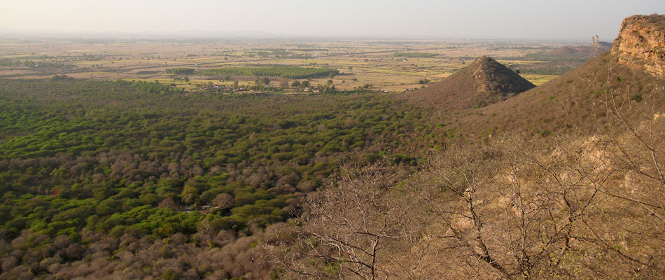 Ranthambhore National Park