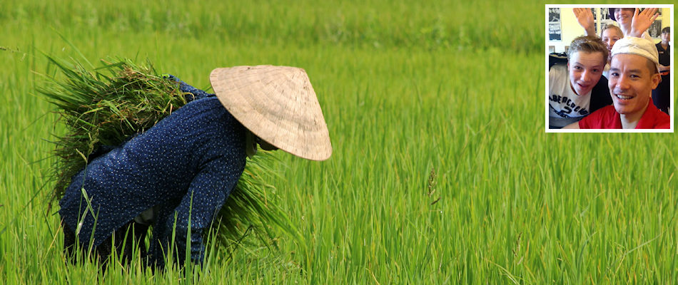 Rice paddy and (inset) Khanh Dinh