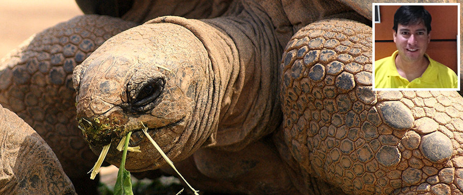 Galapagos giant tortoise and (inset) Davis Paez