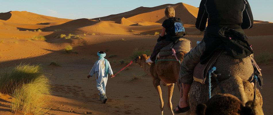 Berber guide leading camels