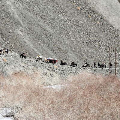 pony train