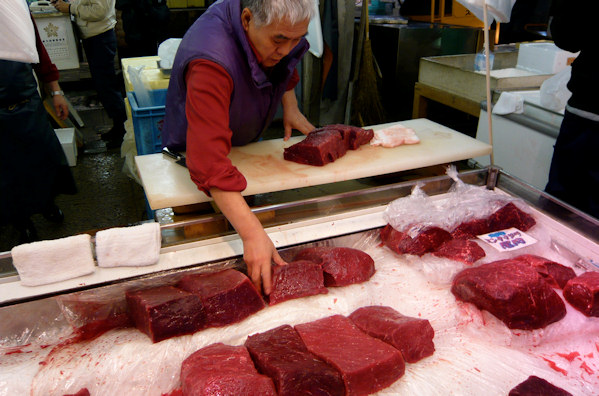 Whale meat