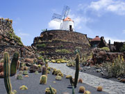 Windmill at Jardin de Cactis, Lanzarote. Photo by Lanzarote Tourist Board