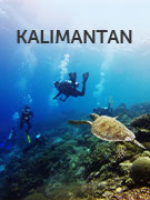 Kalimantan vacations