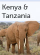 Tanzania and Kenya guide