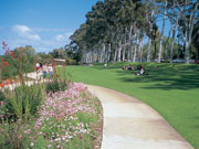 Kings Park in Western Australia. Photo by Tourism Western Australia