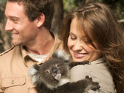 Koala baby with couple, South Australia. Photo by South Australia