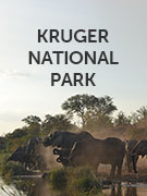 Kruger National Park vacations Kruger National Park vacations