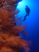 Diving in Lanzarote. Photo by Lanzarote Tourist Board