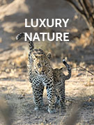Luxury nature & wildlife vacations