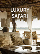 Luxury safari vacations