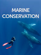 Marine conservation guide