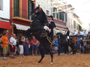 Horse at festival, Menorca. Photo by Menorca Tourist Board