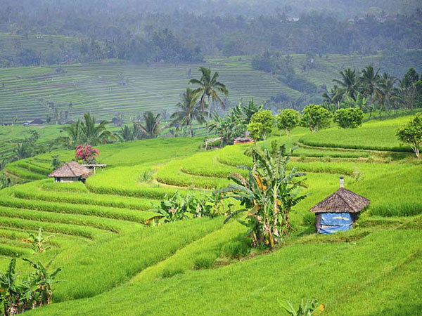 Indonesia biking vacation, Bali and Java